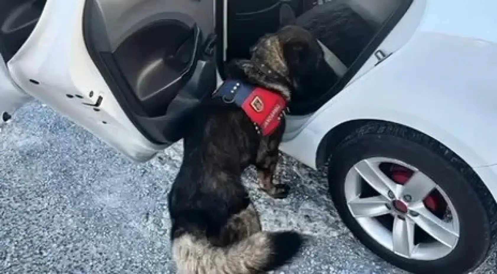 Jandarma tarafından Muğla'da yapılan denetimde bir haftada 80 şahıs yakalandı