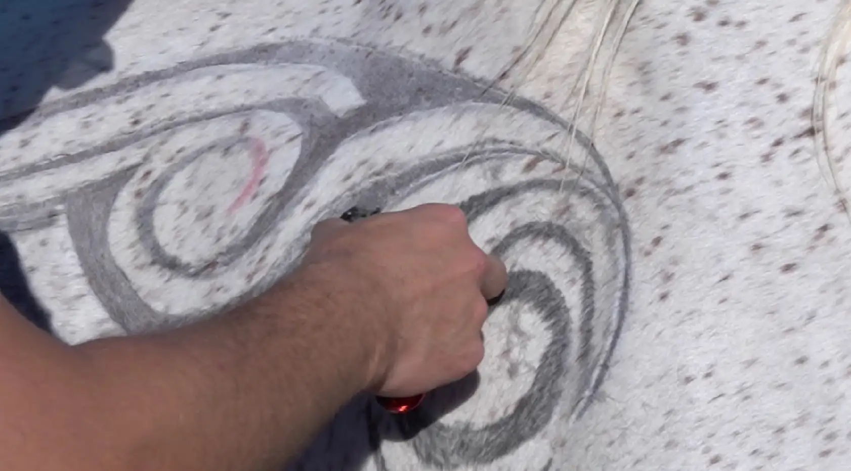 Atın tüylerinden sanat eseri oluşturdu