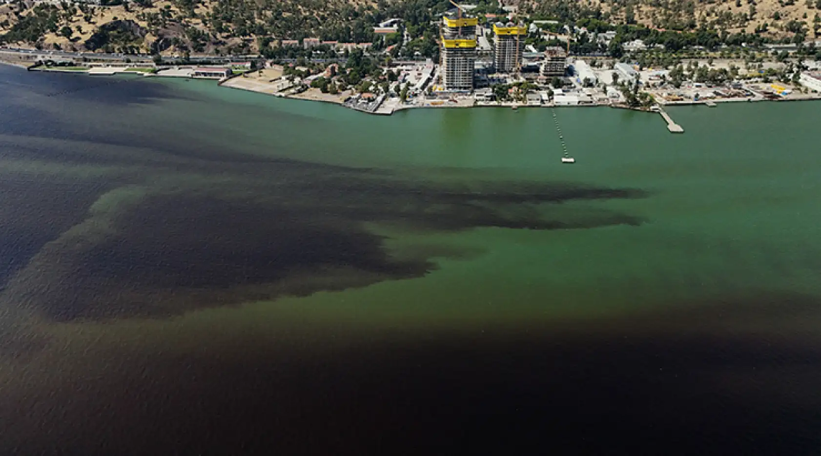 İzmir Körfezi'ndeki Balık Ölümleriyle İlgili İnceleme Başlatıldı