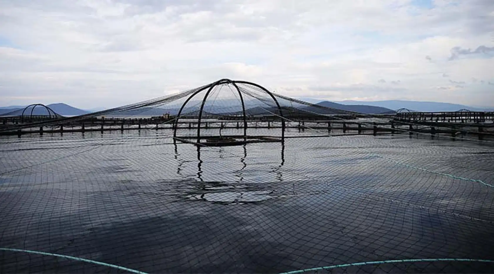 Muğla'dan geçen yıl 625,6 milyon dolarlık su ürünleri ihracatı yapıldı