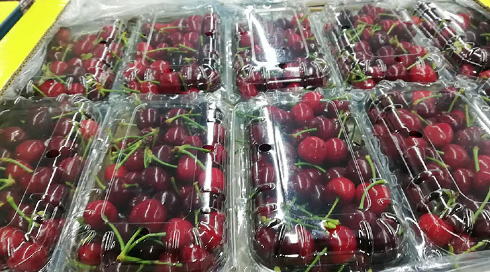 Sebze ihracatında Türkiye'nin lideri Antalya