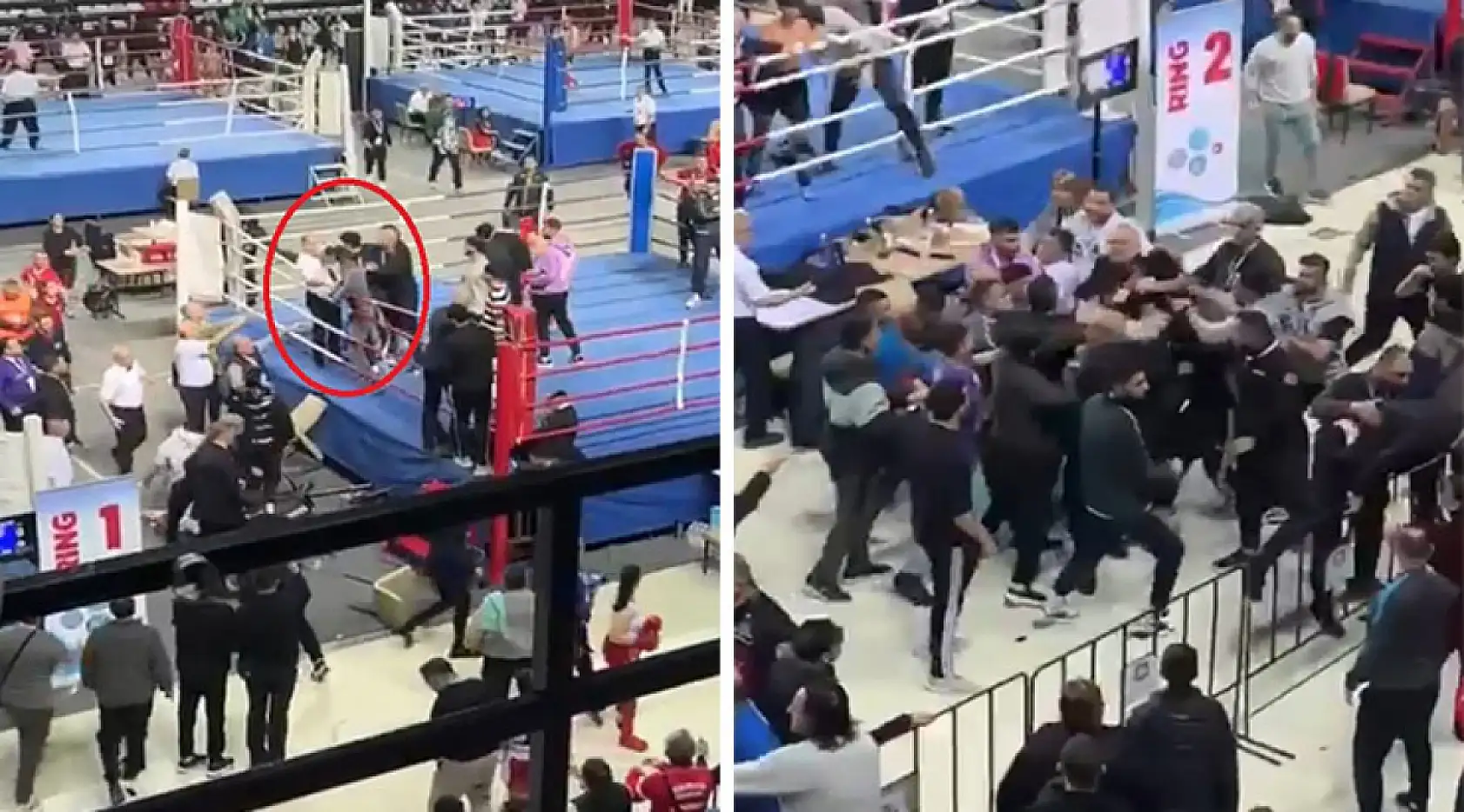 Kick boks maçında kavga ring dışına taştı: 1'i hakem 2 yaralı