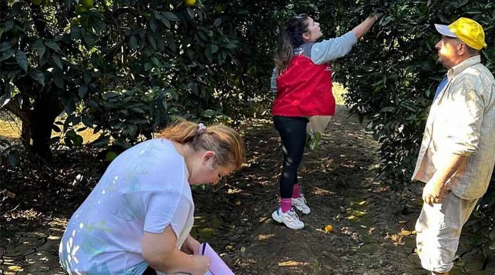 Muğla'da pestisit denetimleriyle sağlık ve çevre güvencesi