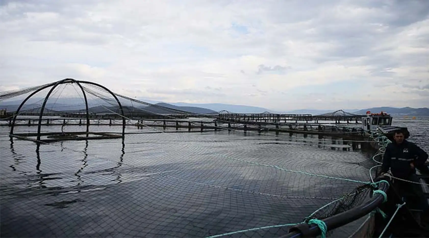 Muğla'dan geçen yıl 625,6 milyon dolarlık su ürünleri ihracatı yapıldı