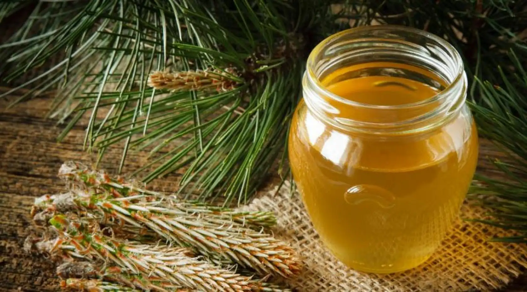 Fethiye Çam Balı Nedir? Fethiye Çam Balının Özellikleri Nelerdir?