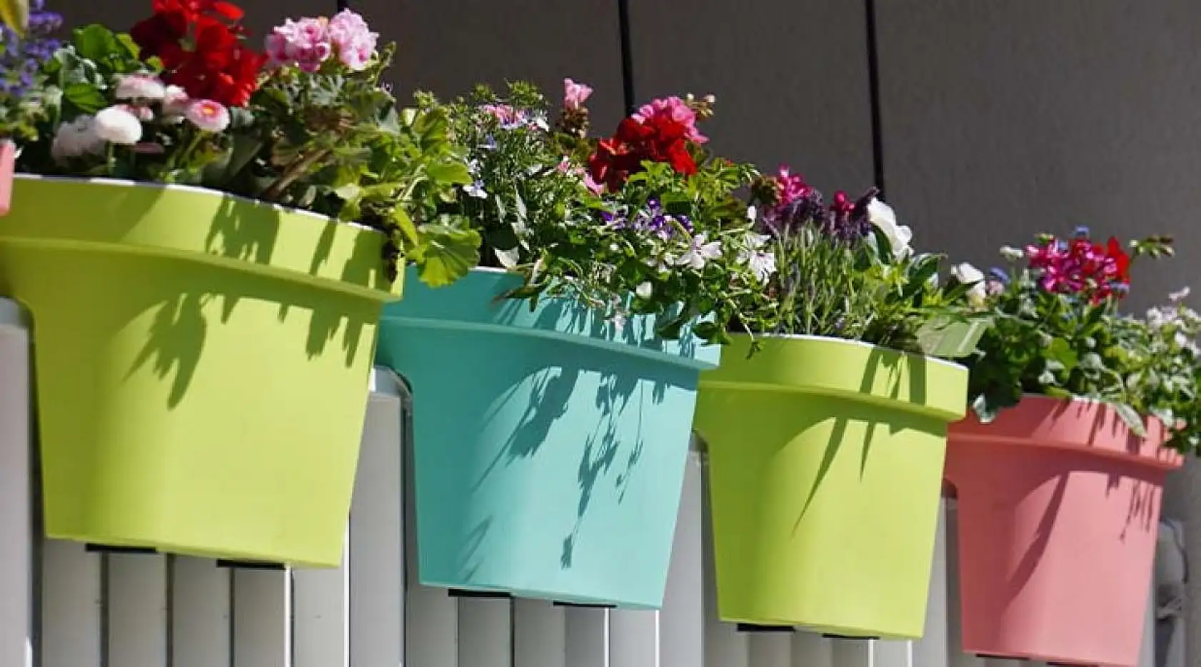 Evde Çiçek Yetiştirirken Nelere Dikkat Edilir? Bilmeniz Gereken Her Şey