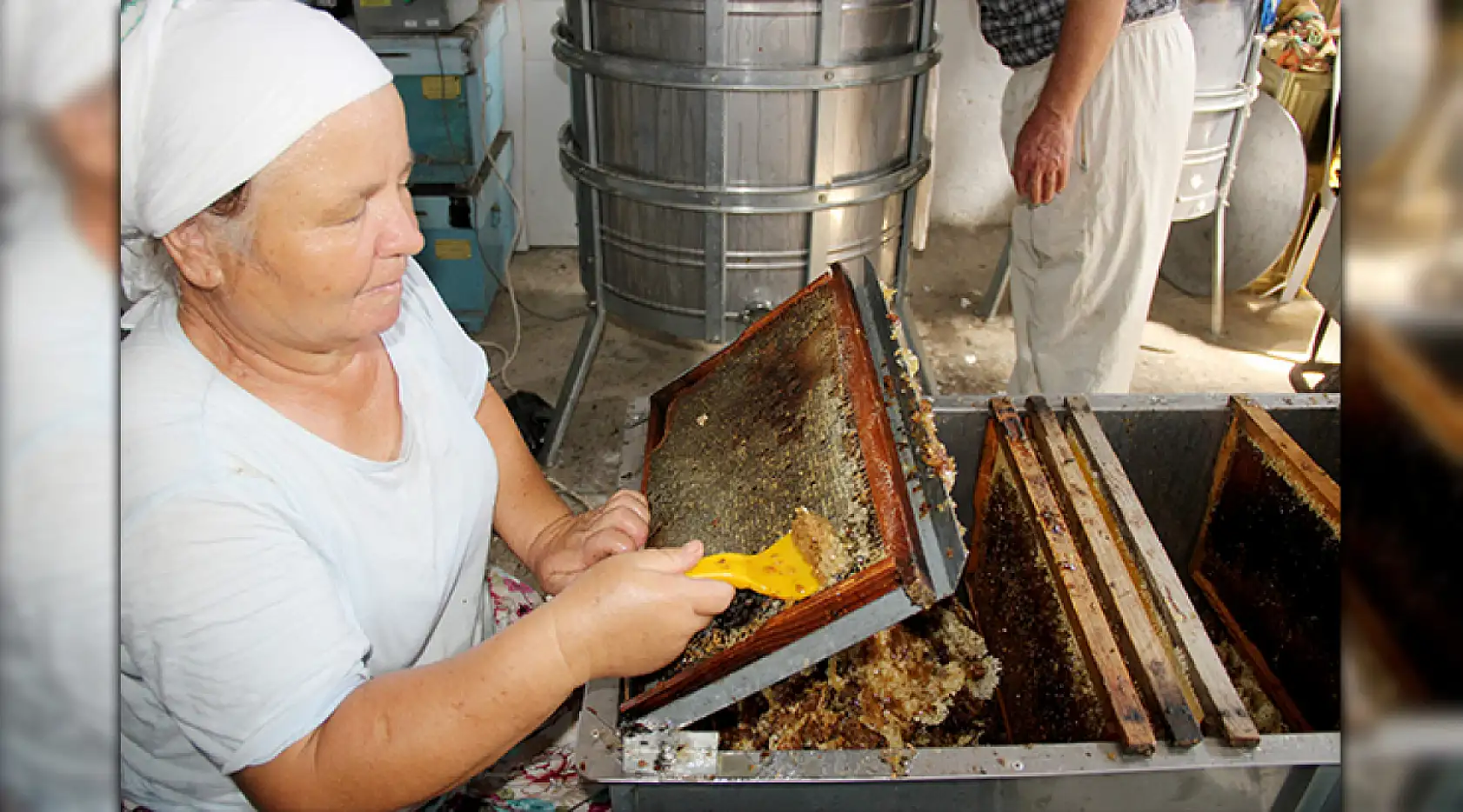 Arılı kovan desteklemelerinde son gün