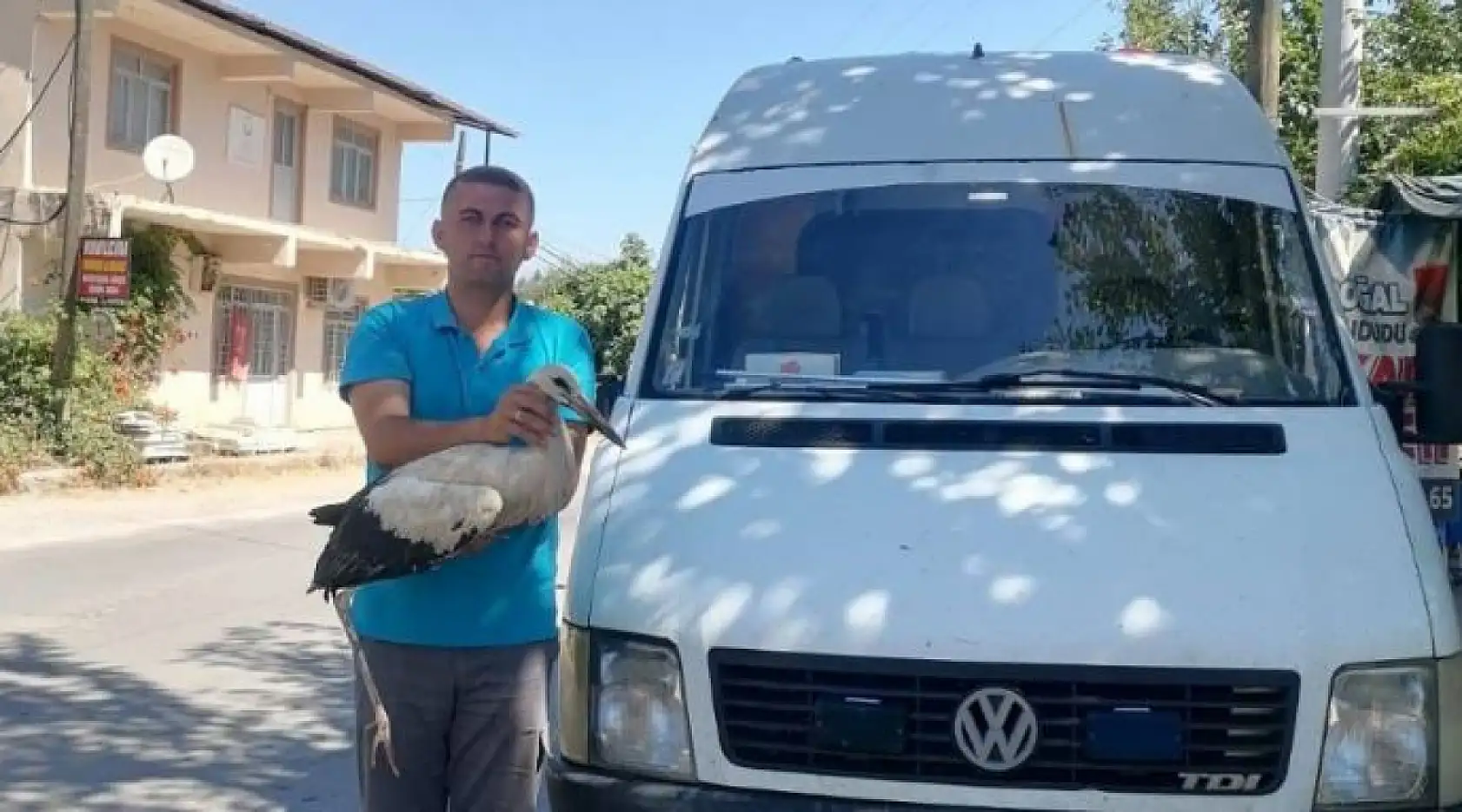 Güneşli Mahallesi'nde Yaralı Leyleği Duyarlı Gençler Kurtardı