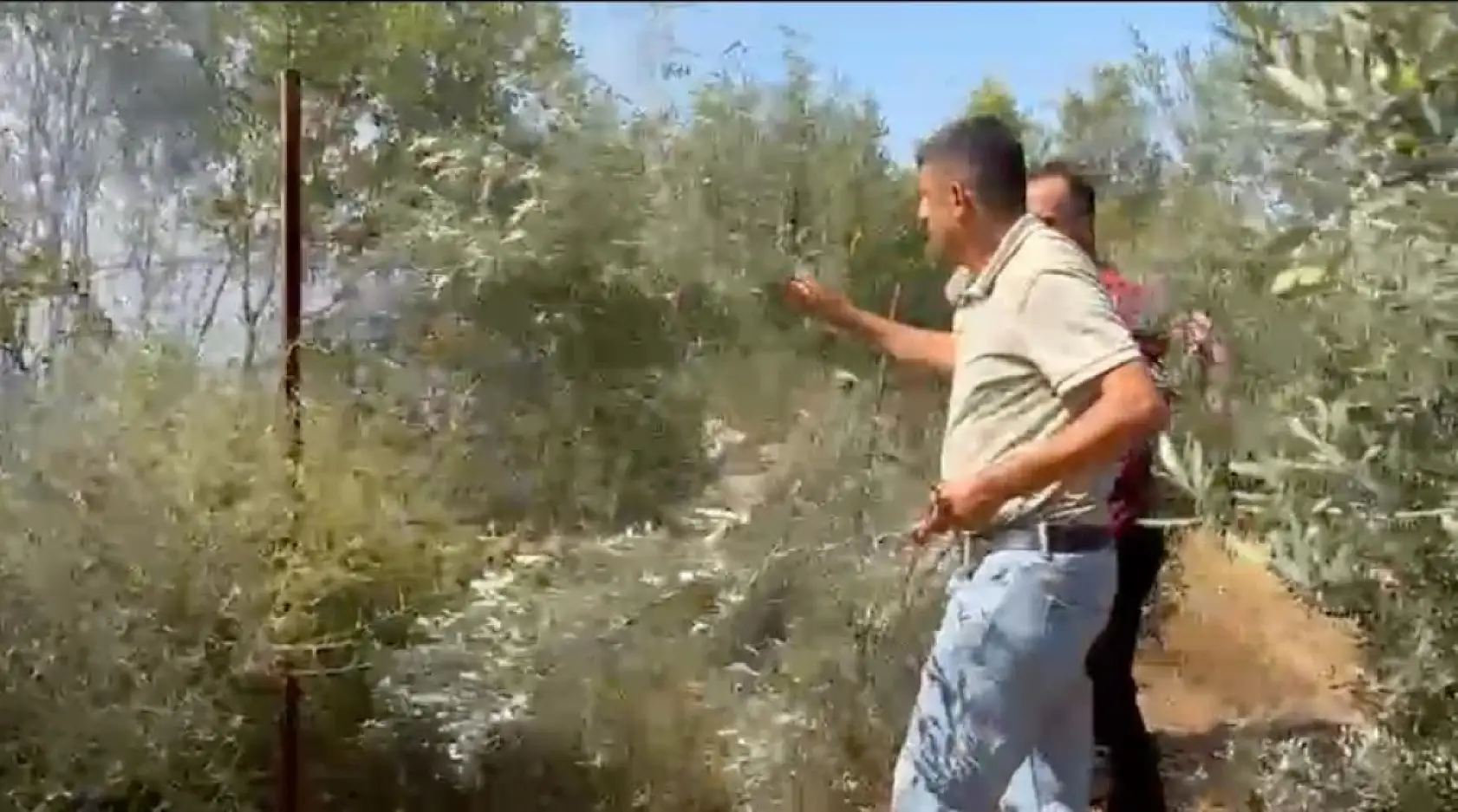 Antalya'da yerleşim alanına yakın ağaçlık alanda yangın