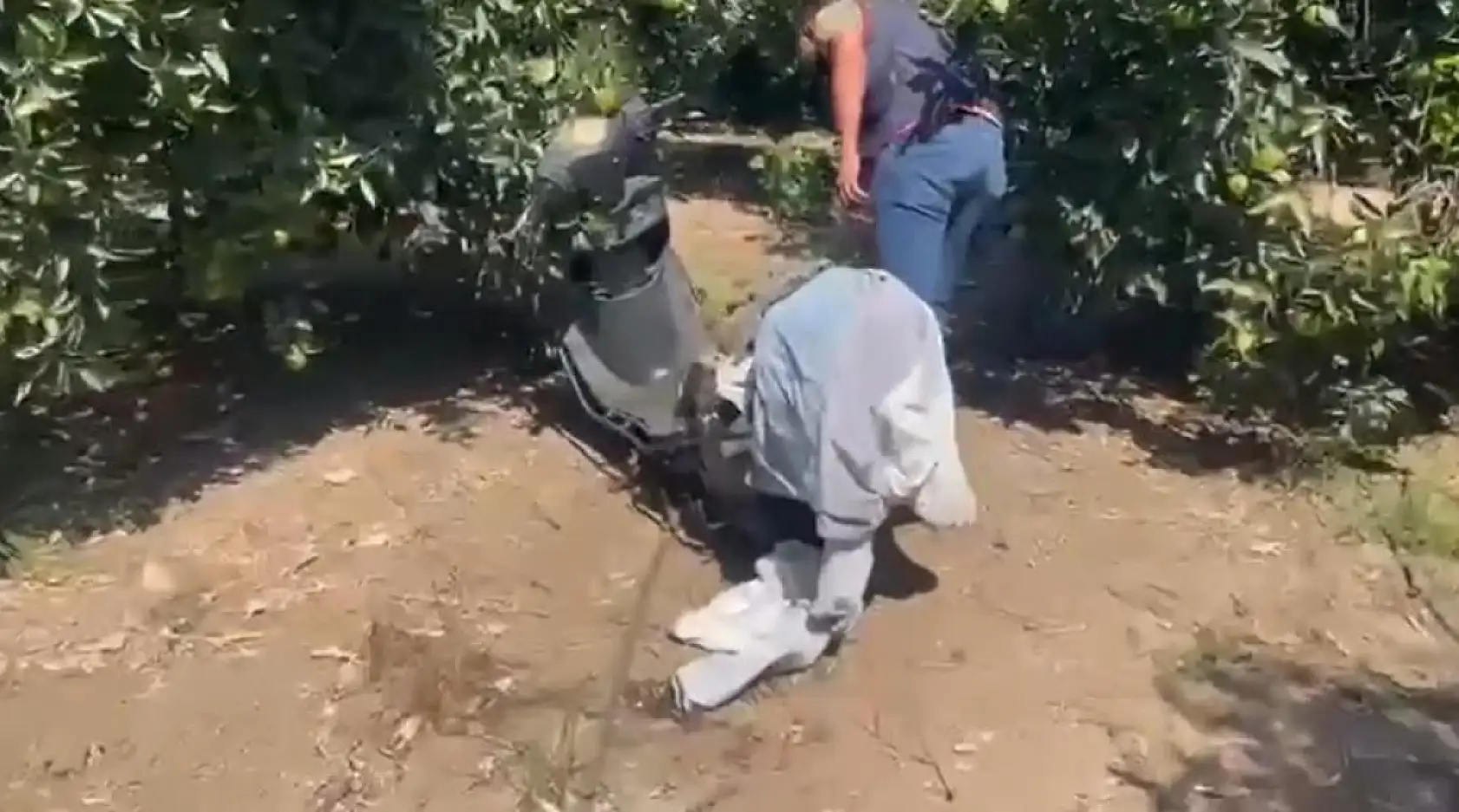 5 yıldızlı otele silahla saldırıp bahçede kıyafet değiştirmişler