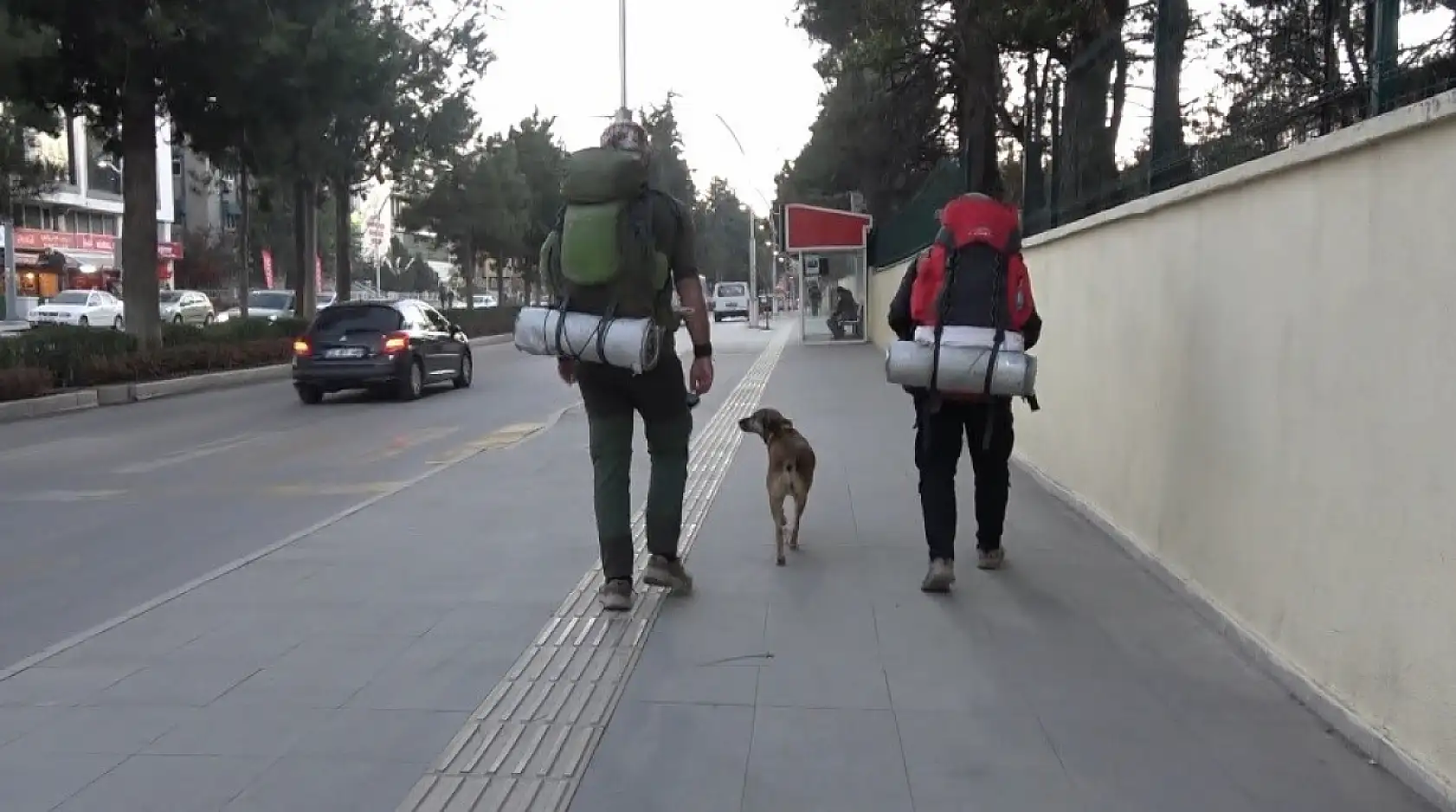 Köpeği ile birlikte tüm Türkiye'yi gezip fidan dikiyor