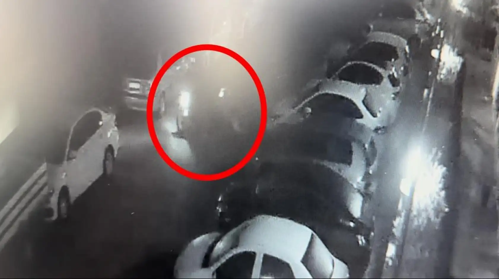 Çekirge misali 3'üncü hırsızlığında kıskıvrak yakalandı