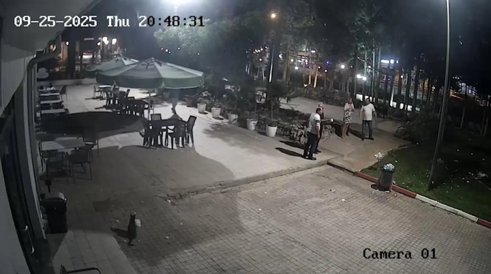 Gökyüzünden Gelen Dev Buz Kütlesi Güvenlikleri Şaşkına Çevirdi