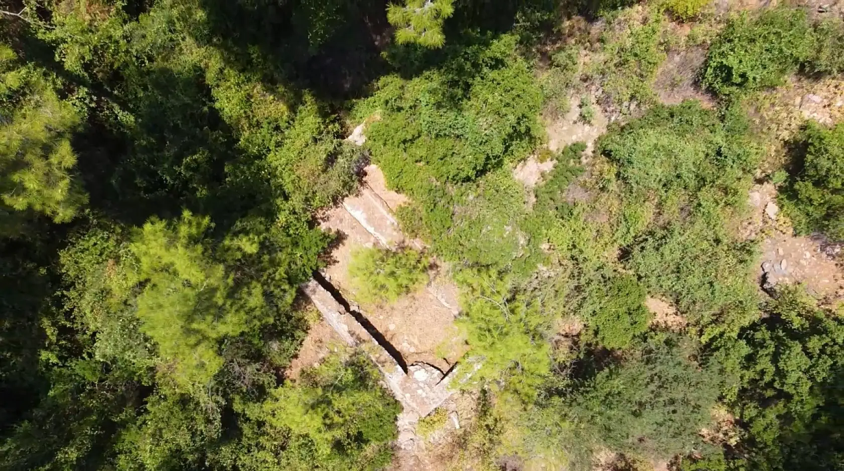 Muğla'da kovan barınakları tekrar ayağa kaldırılıyor