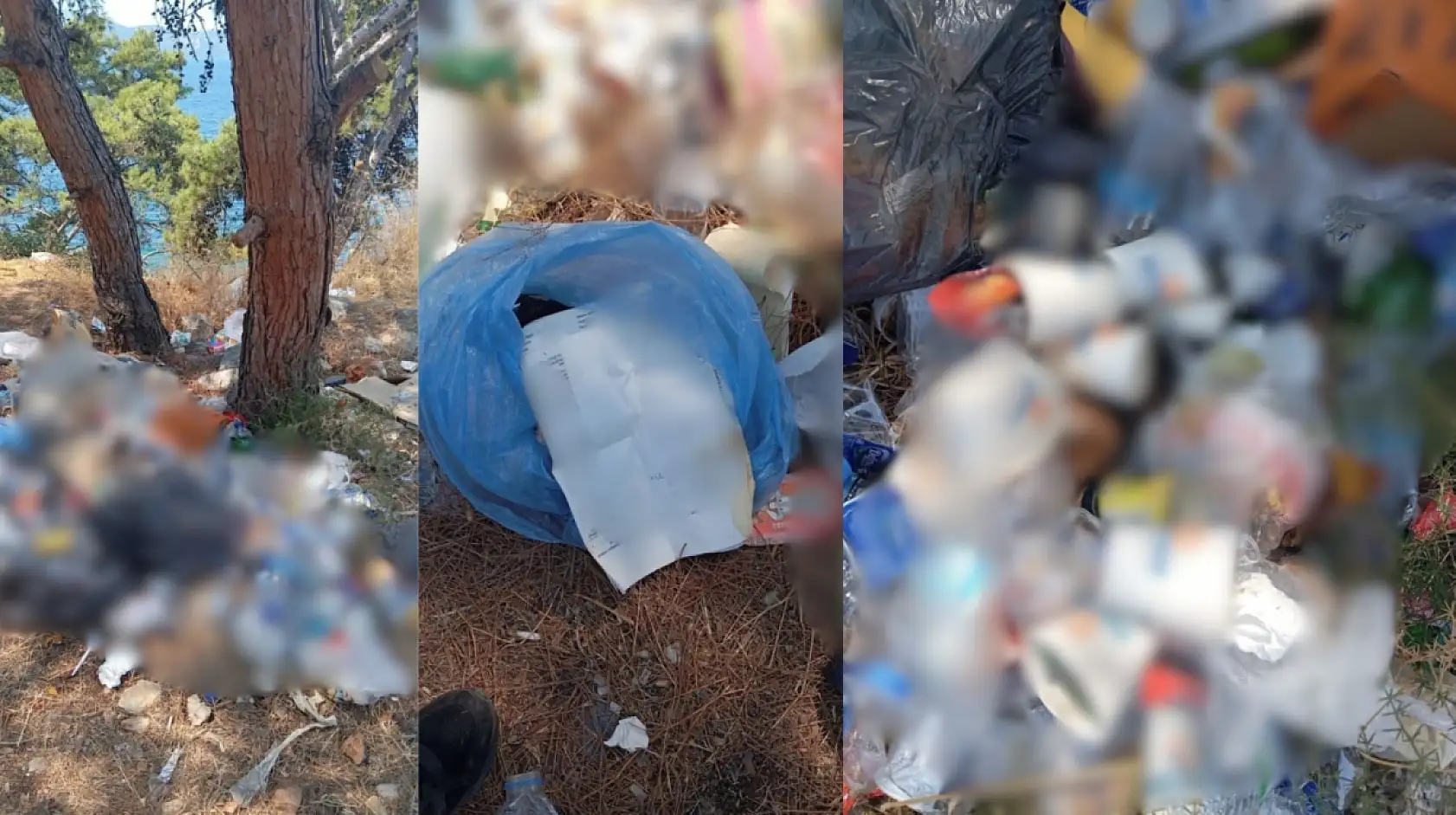 Bodrum Zabıta ekiplerinden çevreyi kirletenlere ceza