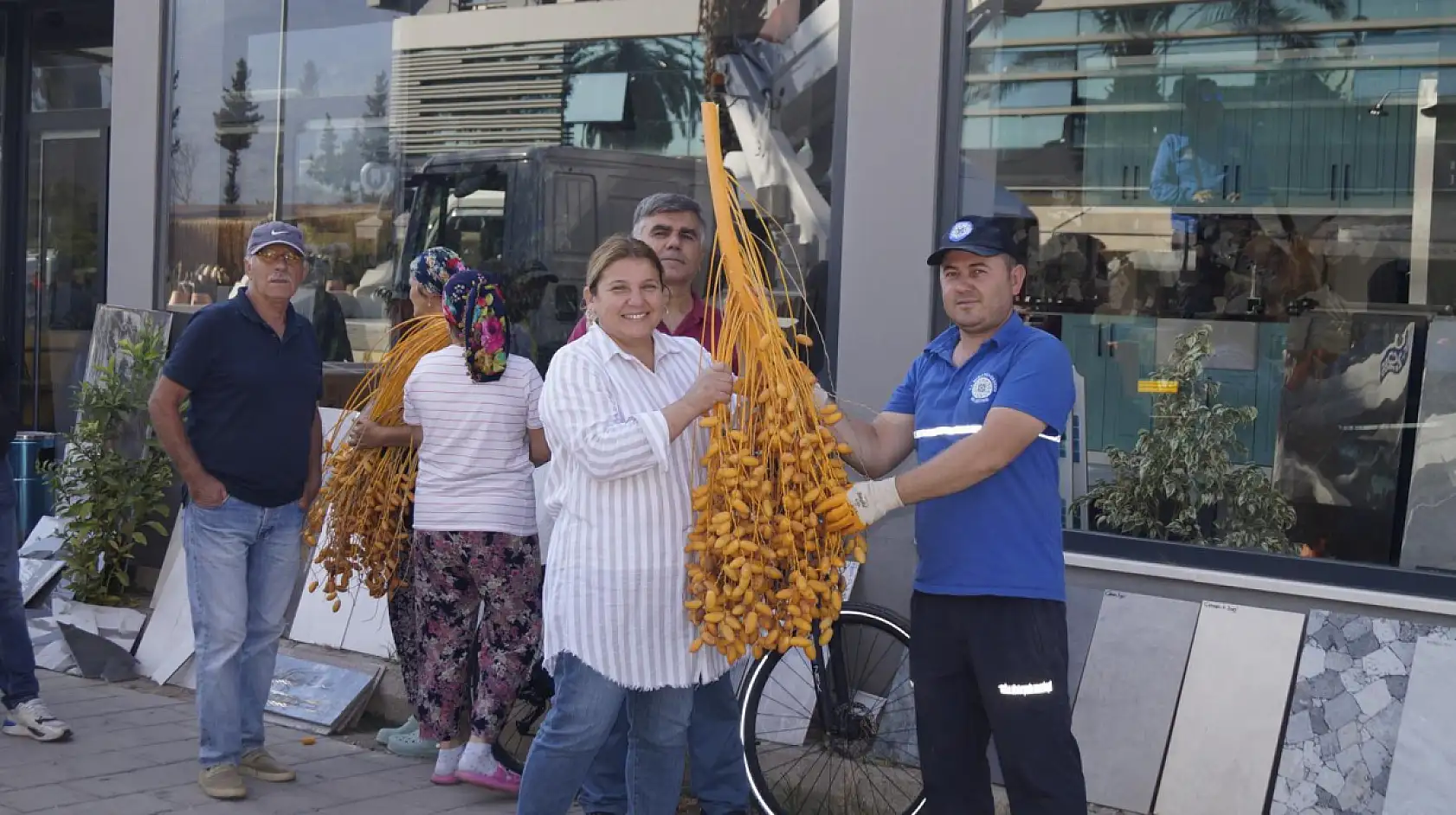 Fethiye'de hurma hasadı devam ediyor