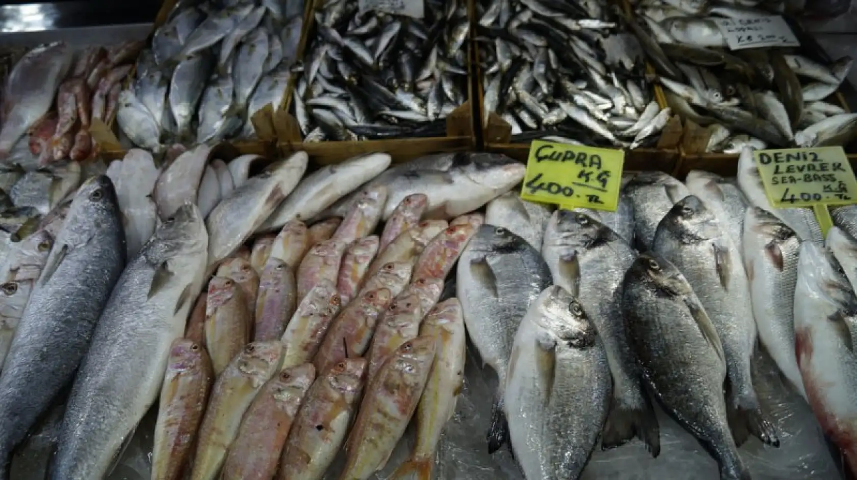 Fethiye Balık Hali'nde Yaz Sezonunun Sonuna Yaklaşılıyor