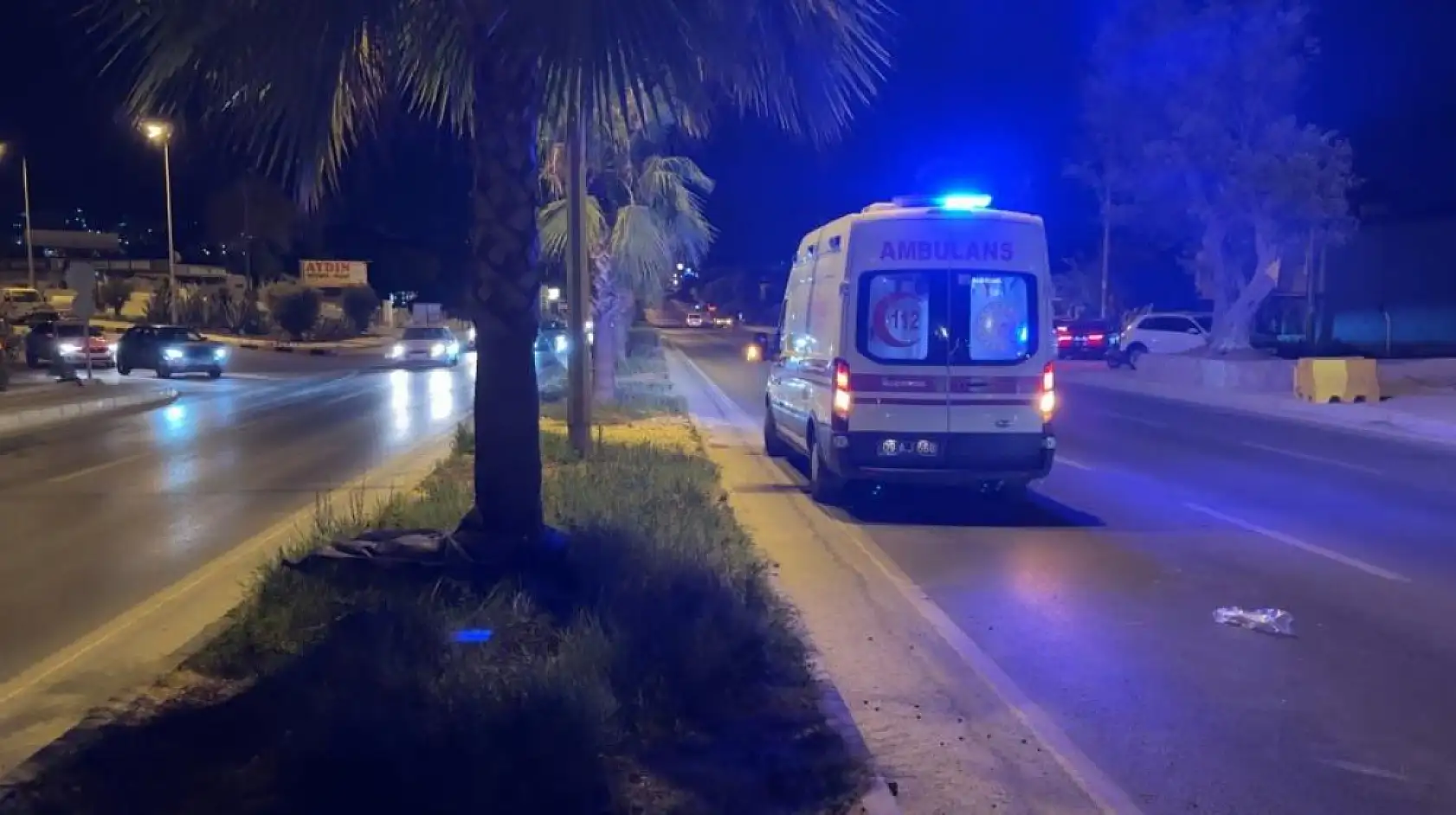 Alkollü sürücünün çarptığı yaya hayatını kaybetti