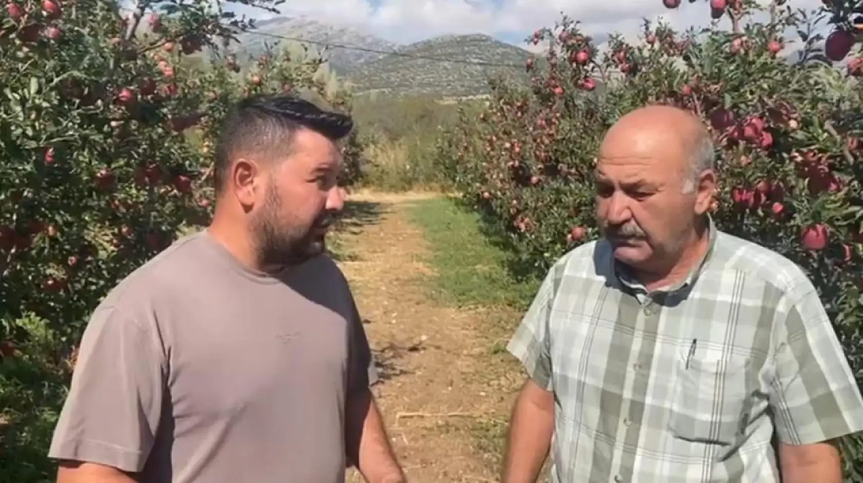 Bir gecede 4 bin 200 ton elma doluya teslim oldu, zarar 170 milyon TL