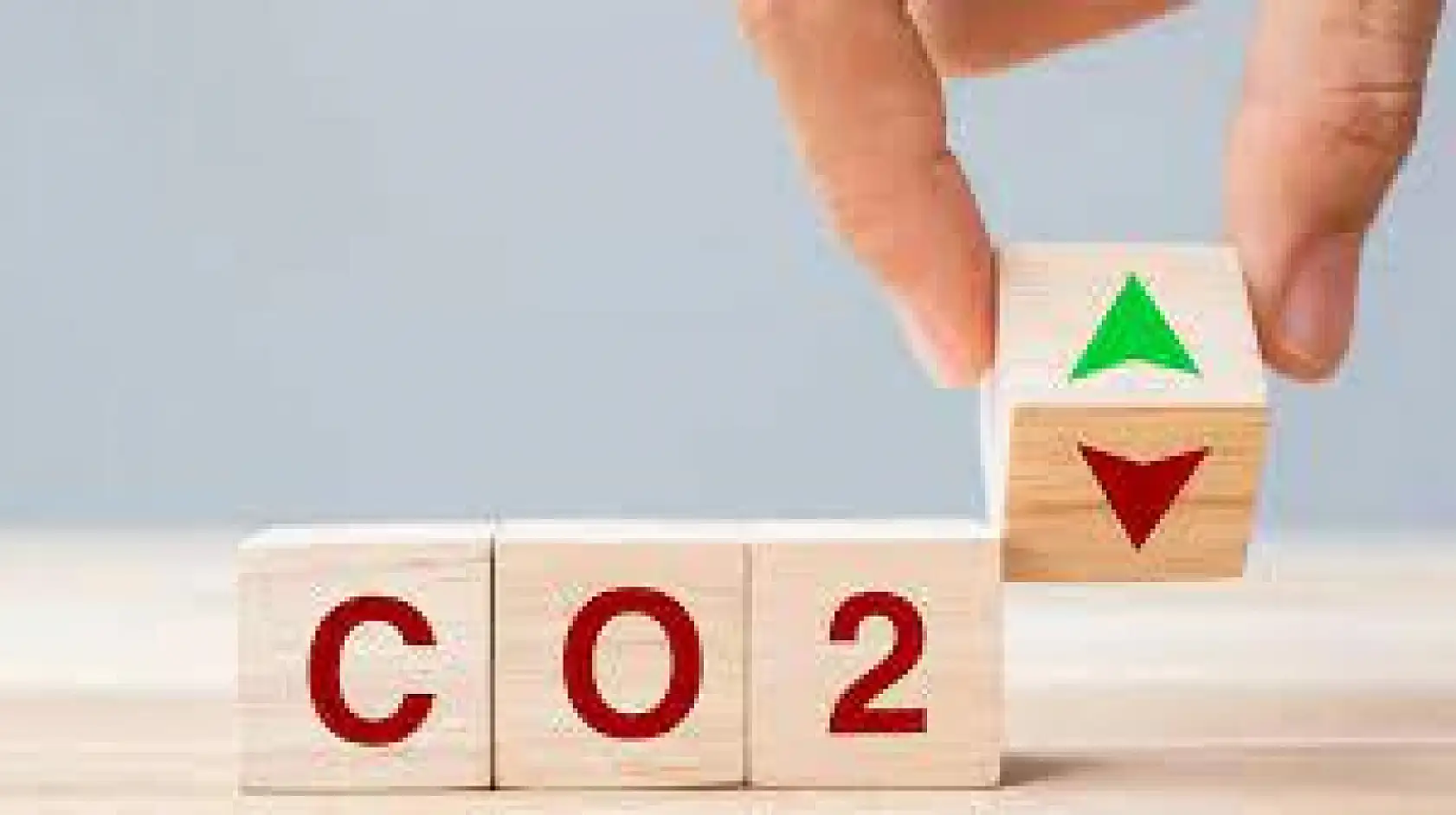 Karbon Vergisi Çevreci Şirketlerin Rekabet Gücünü Artıracak