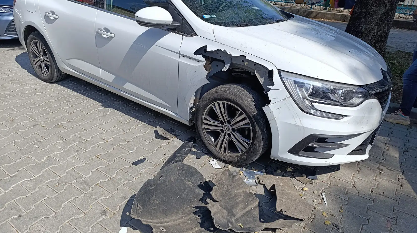 Fethiye'de Domuz Alarmı, Otomobile Saldırdılar