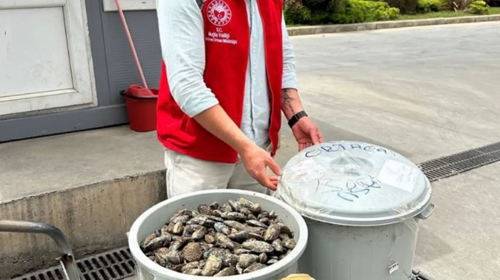 Muğla'da otobüsün bagajındaki 100 kilo midyeye el konuldu