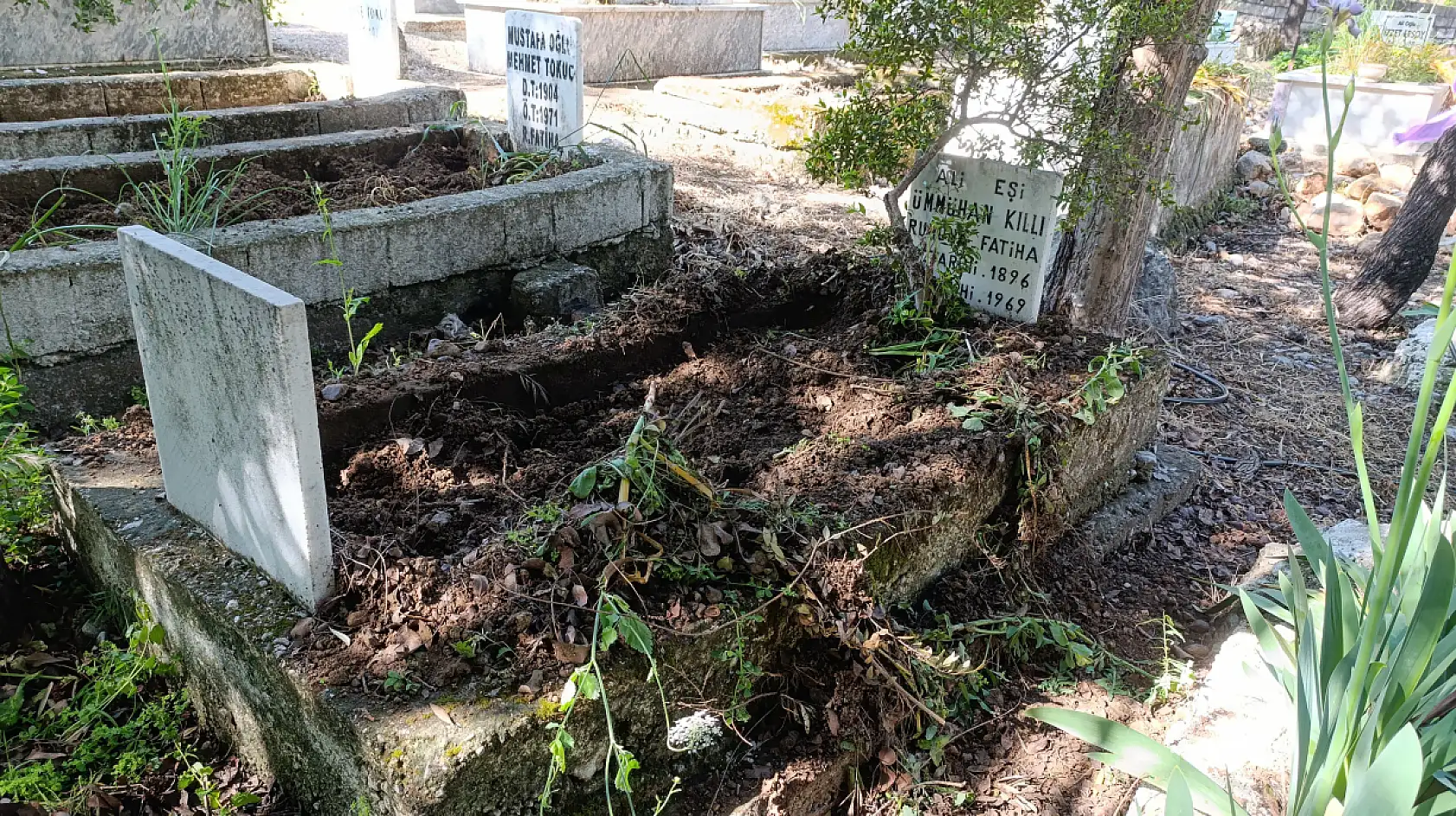 Fethiye Karapınar mezarlığında domuz talanı