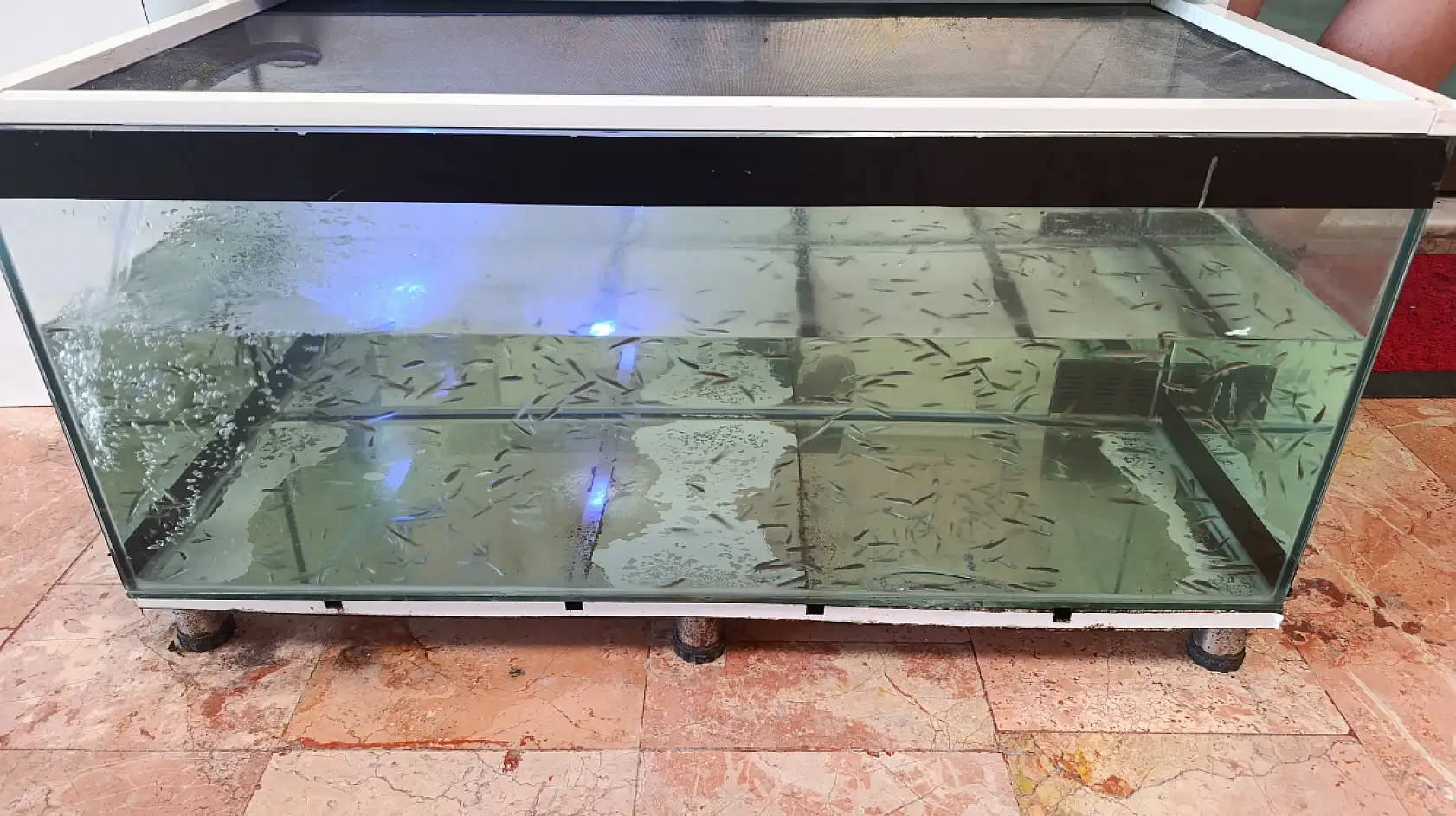 Fethiye'de otel kuaförü Emine sezondan ümitli