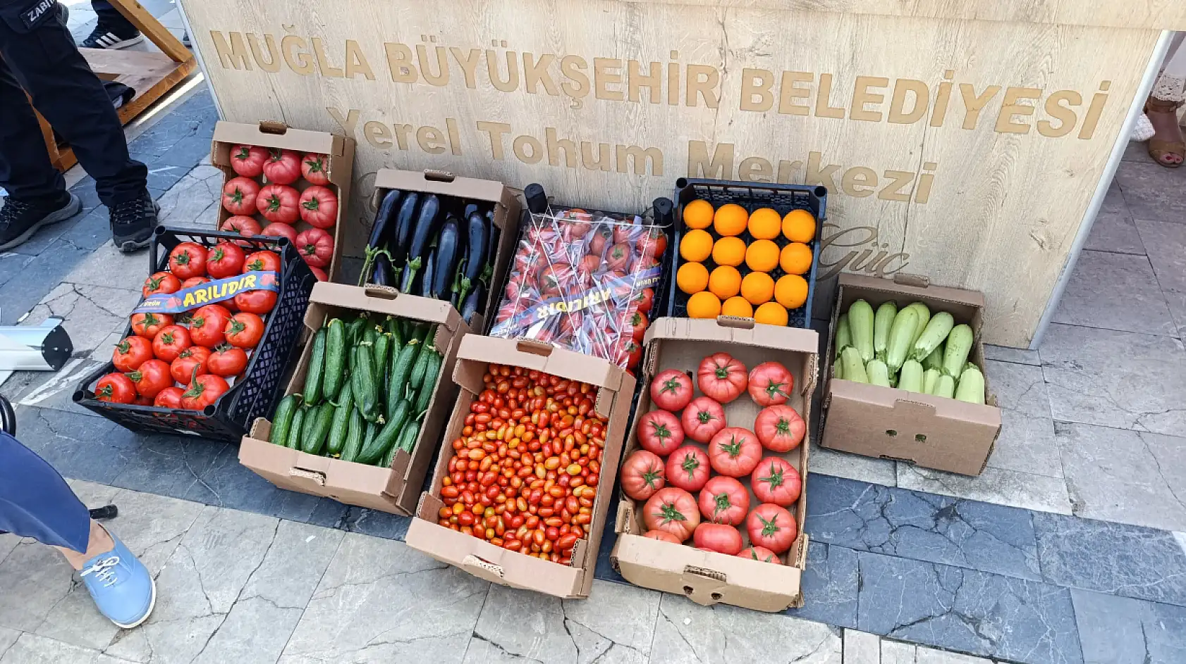 Fethiye, canlı yayınla ekranlara taşındı