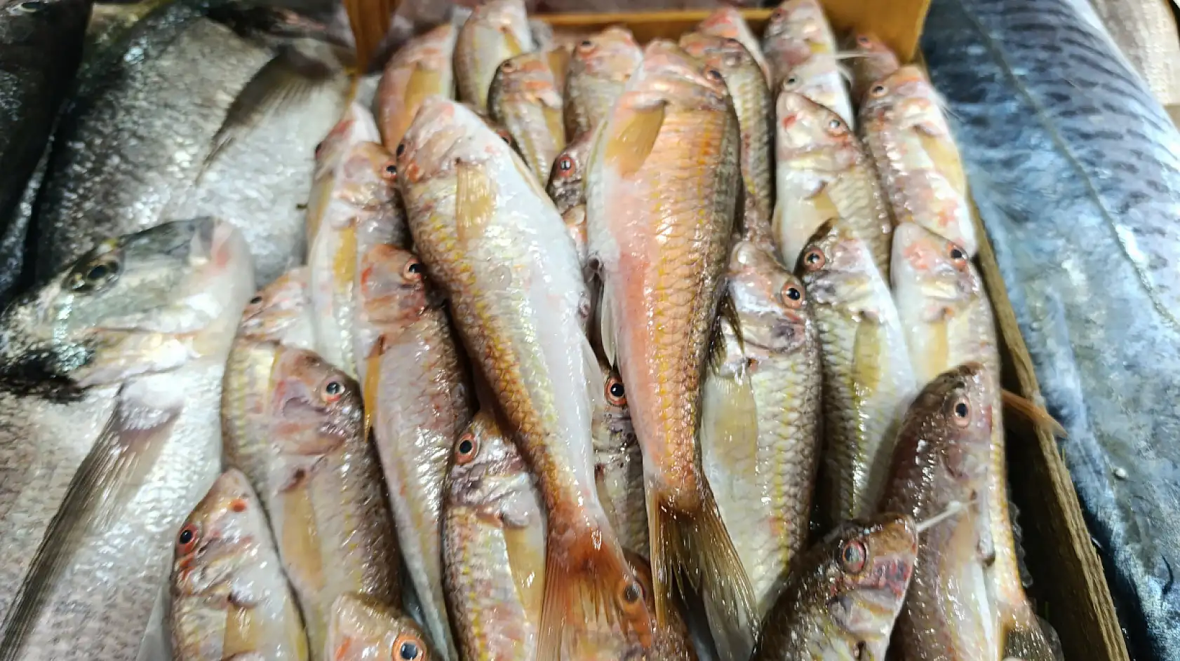 Fethiye Balık Pazarı'nda Bayram Hareketliliği Sona Erdi: Sezon Durgun Geçiyor