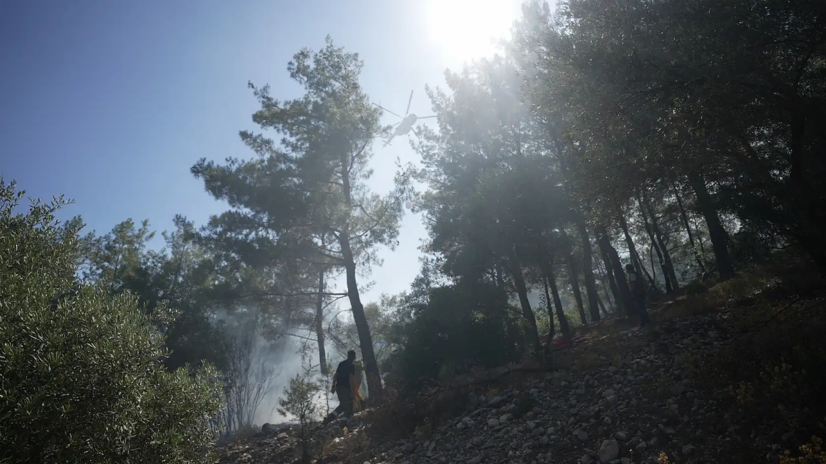 Muğla'daki orman yangını kontrol altına alındı