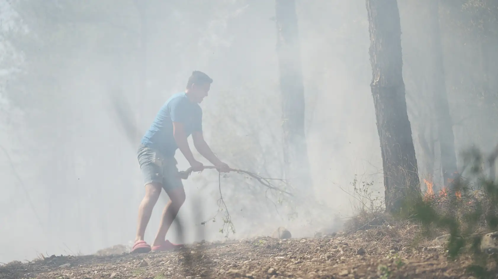 Muğla'daki orman yangını kontrol altına alındı