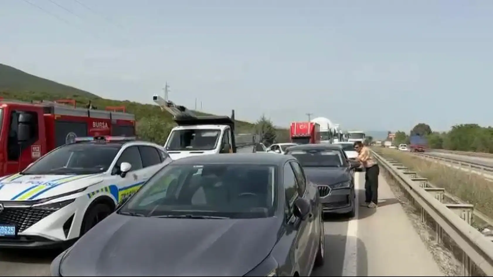 Bir arının yaptığına bak...Yüzlerce kişiyi mağdur etti