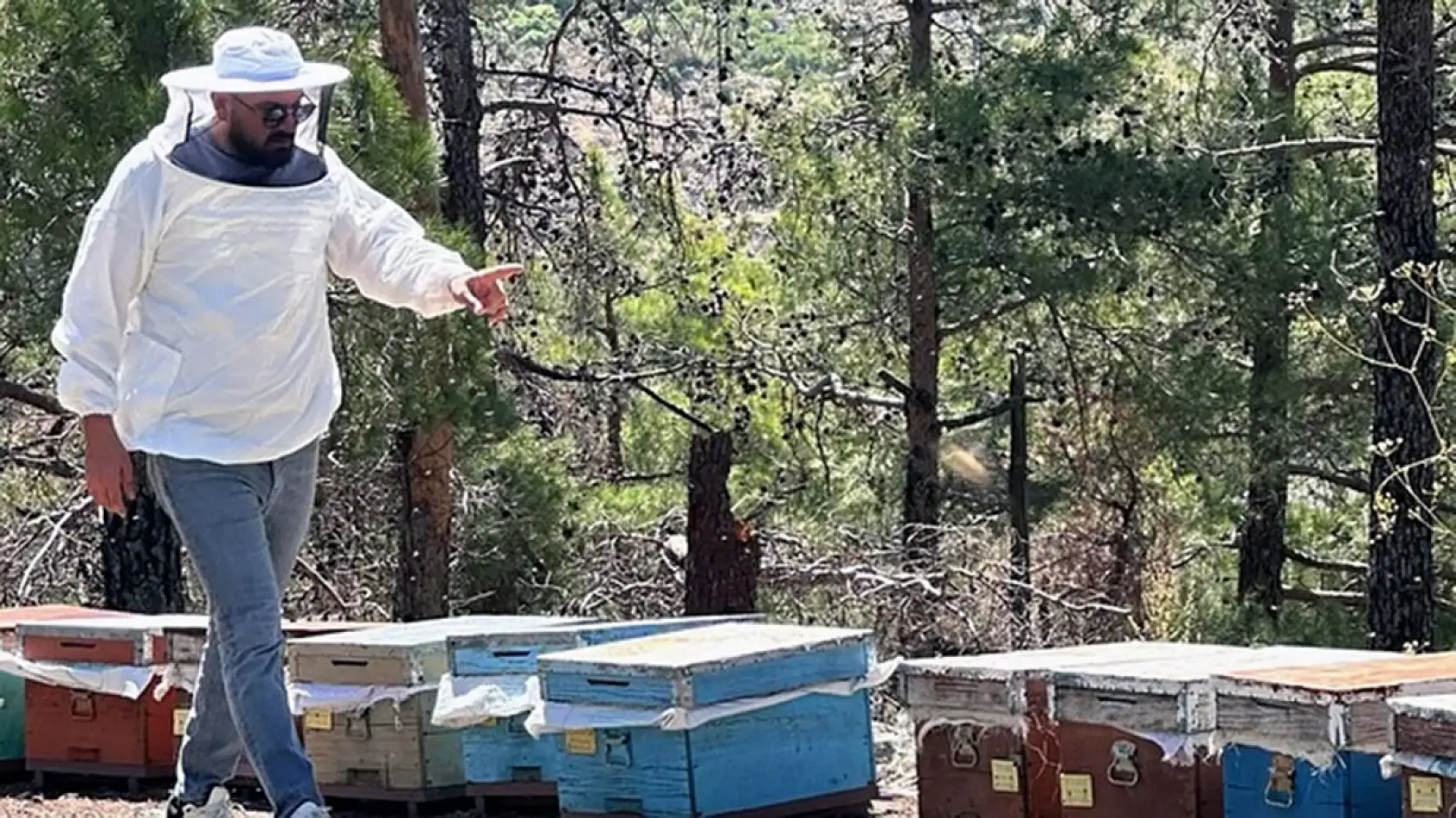 Muğla'da arılı kovan destekleme tespit çalışması yapıldı