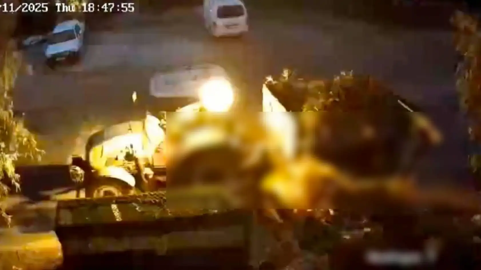 Bodrum'da çevreyi kirletenler belediye kamerasına yakalandı