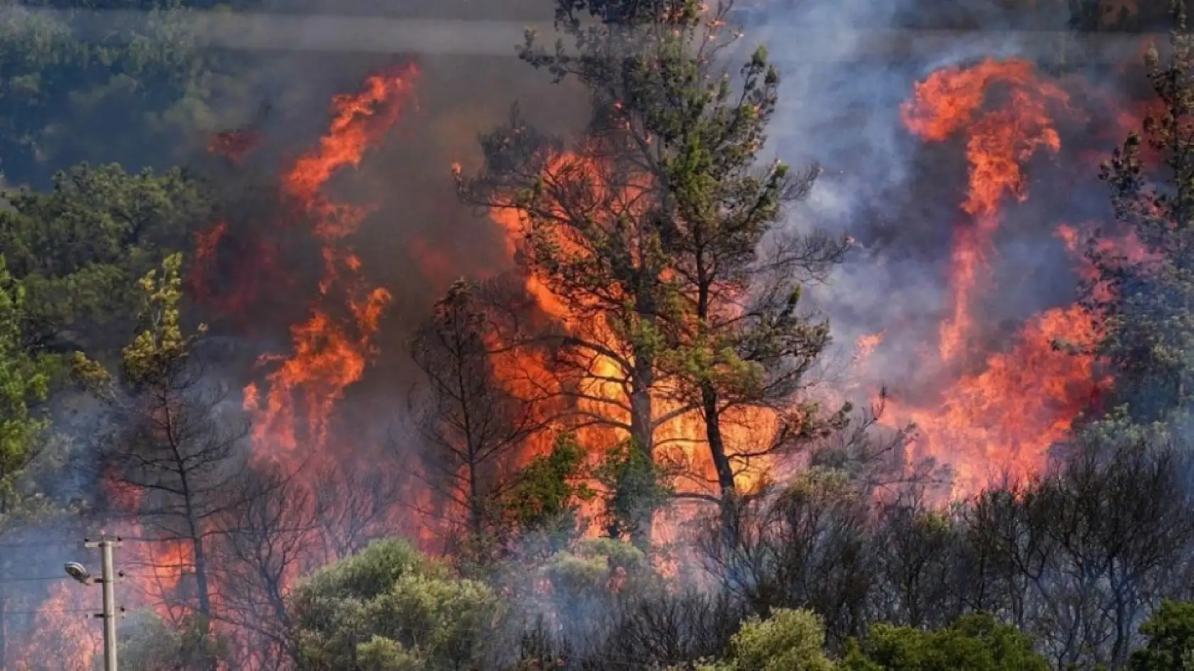 Türkiye Yangınlarla Mücadelede Kurumsal Gücünü Ortaya Koydu