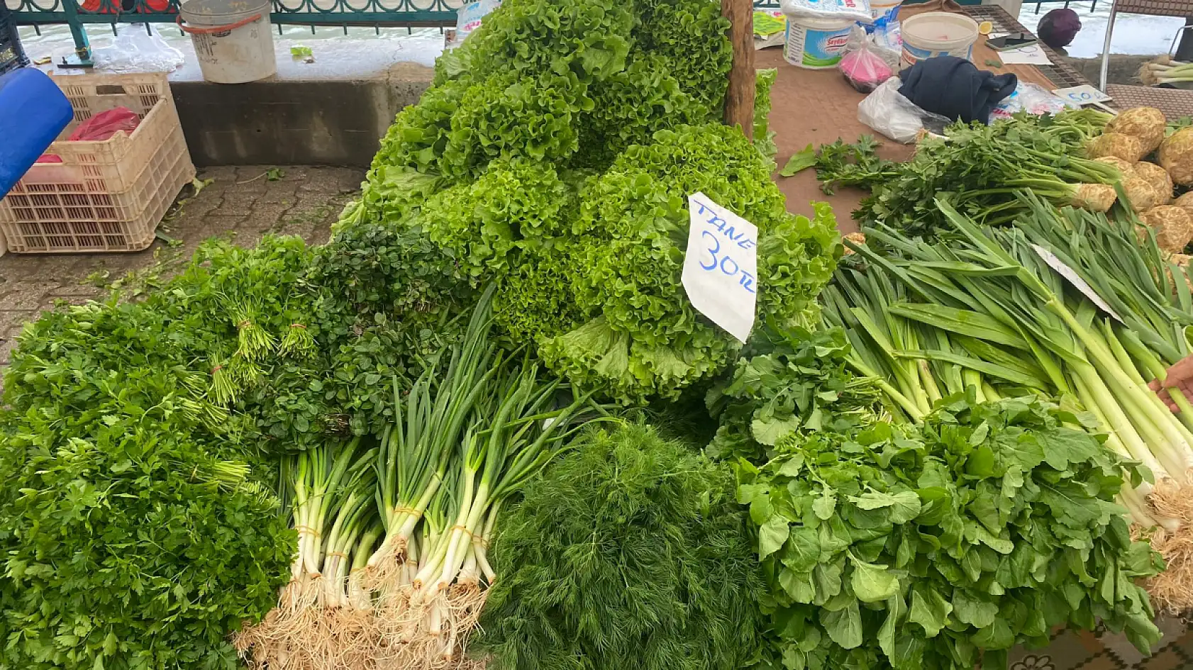 Fethiye Üretici Pazarı'nda meyve sebze fiyatları