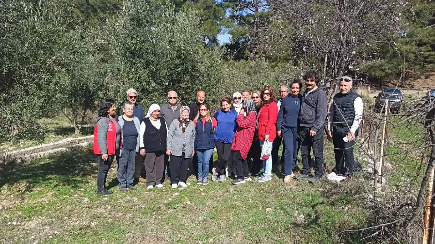 Fethiye'de yerli ve yabancı turistlerin zeytine ilgisi