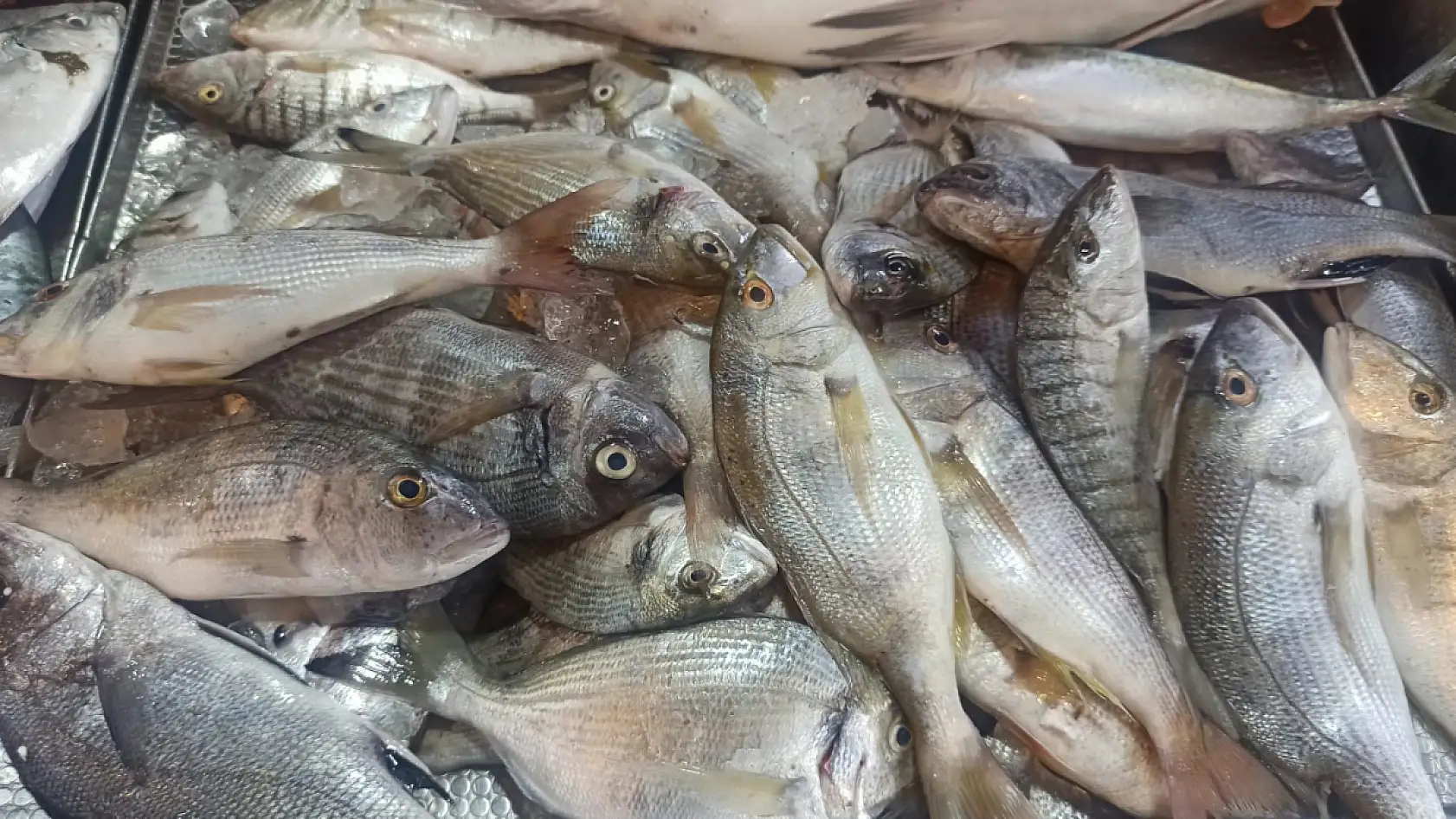 Fethiye Balık Pazarı'nda yaz öncesi balık tercihleri değişti