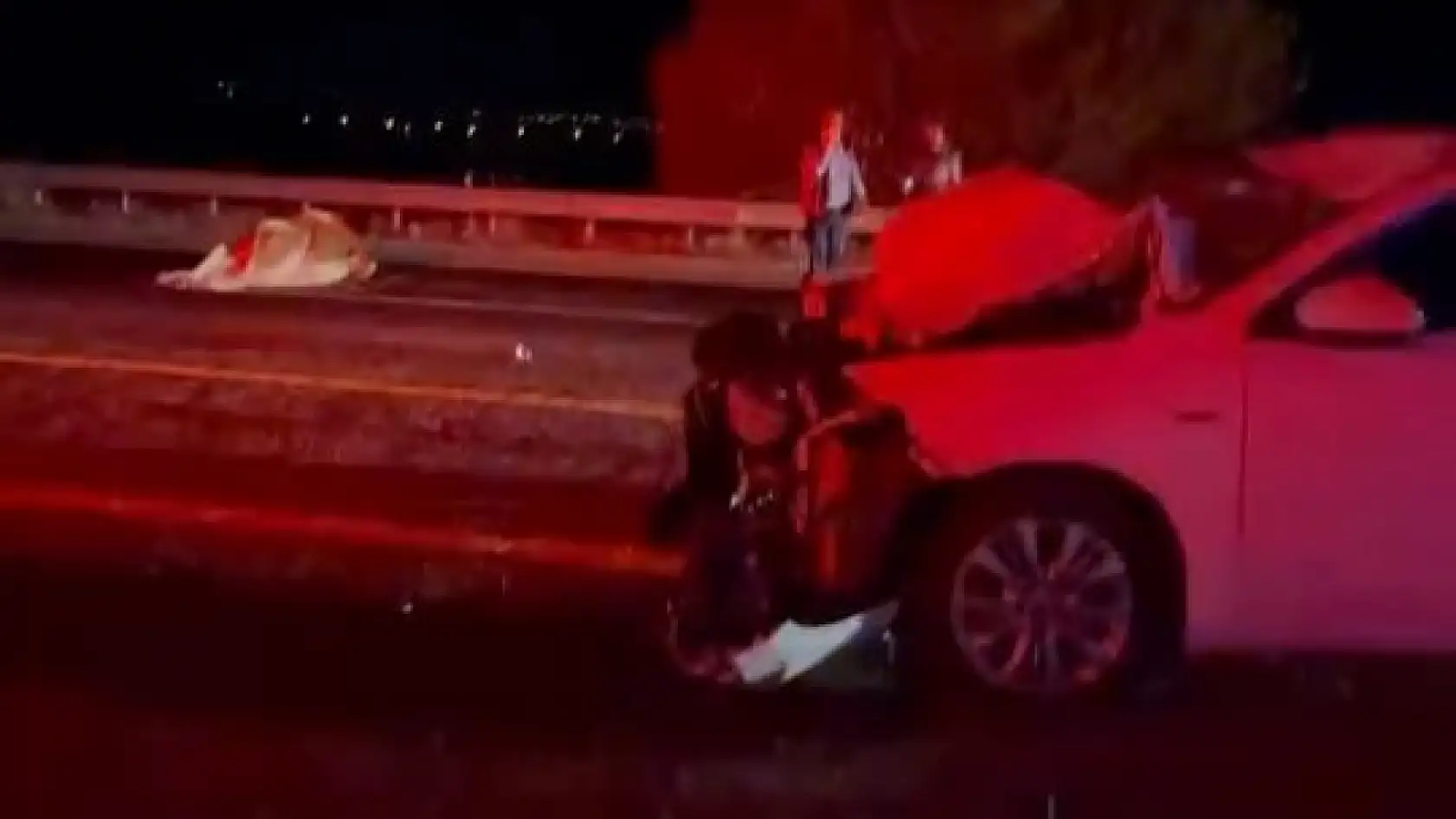 Otomobil ineğe çarptı: 2 yaralı