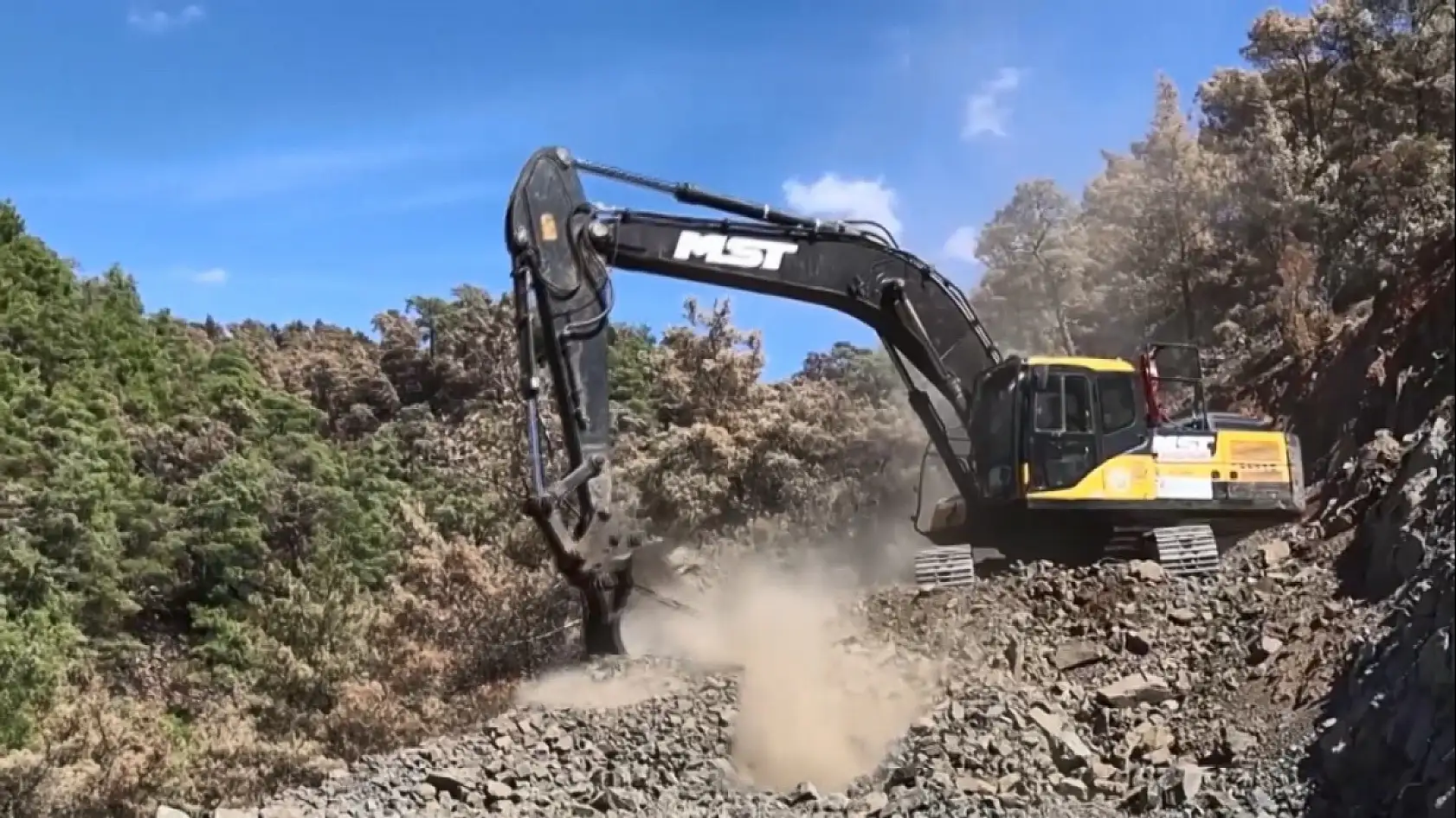 Köyceğiz'de yanan alanlarda ilk fidanlar 11 Kasım'da toprakla buluşacak