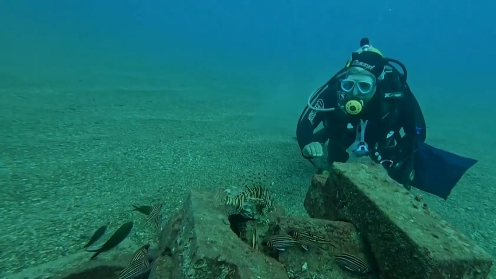 Profesör deniz dibinde taşlardan balıklara yuva yaptı: 12 tür balık içinde yaşıyor