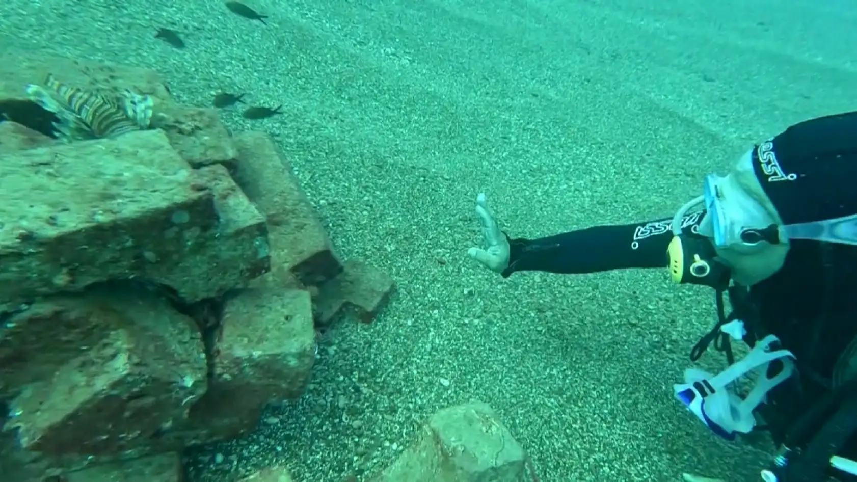 Profesör deniz dibinde taşlardan balıklara yuva yaptı: 12 tür balık içinde yaşıyor