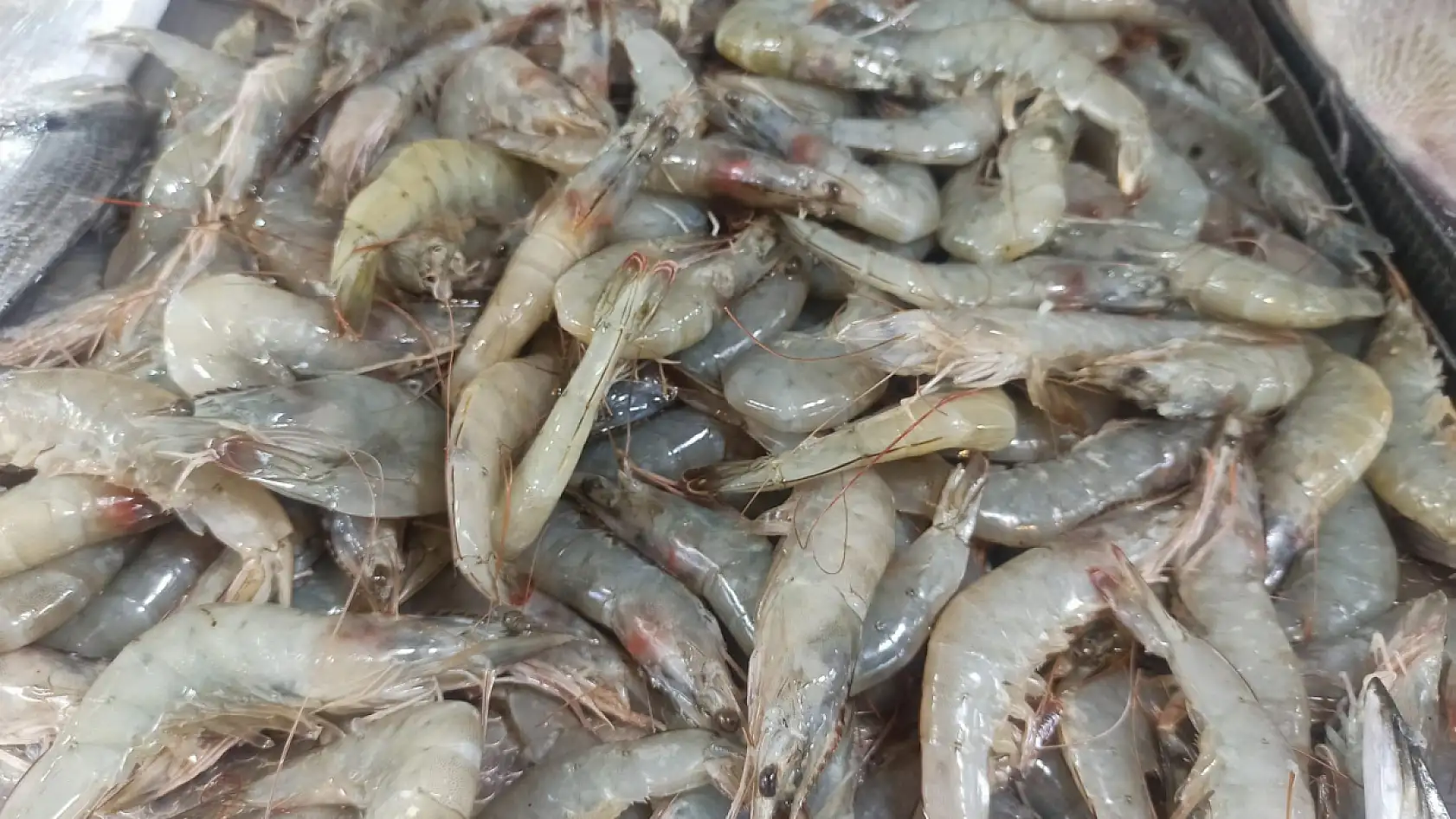 Fethiye Balık Pazarı'nda yaz öncesi balık tercihleri değişti