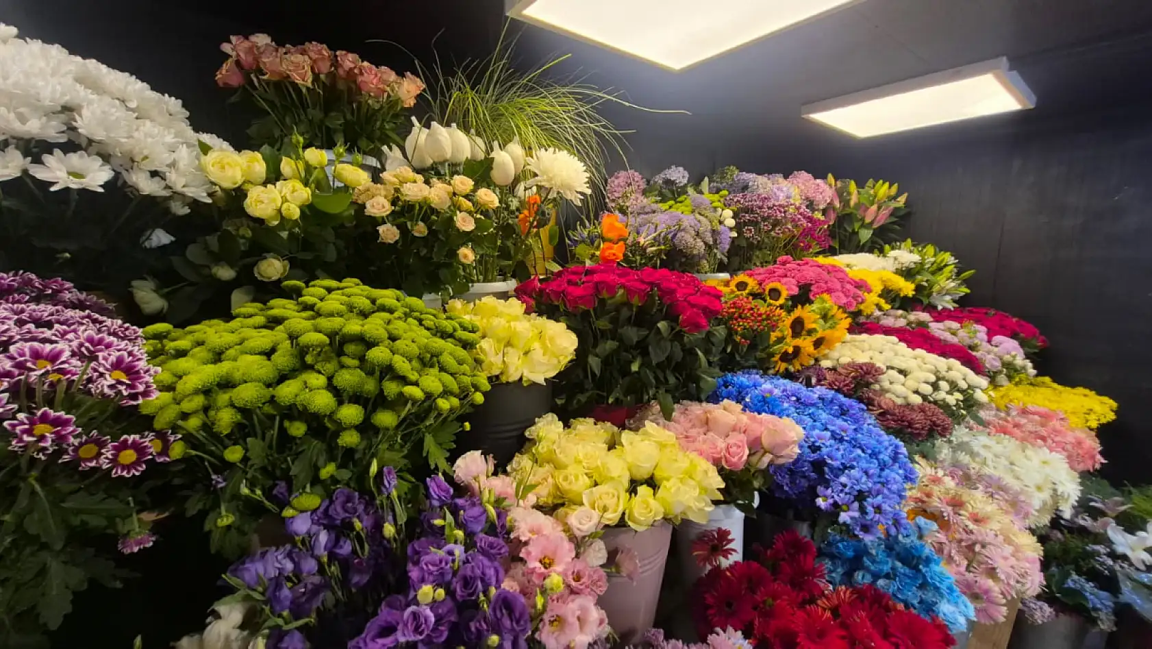 Fethiye'de yaz aylarında gül ve papatya revaçta