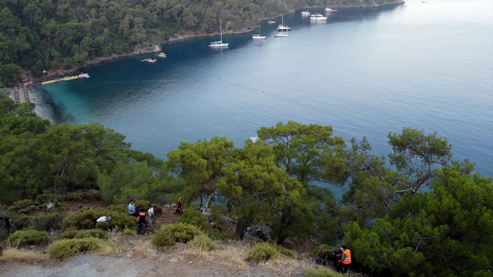 Fethiye Yarımada'da Kefal ve Çipura Neden Kıyıya Yakın Yüzüyor?