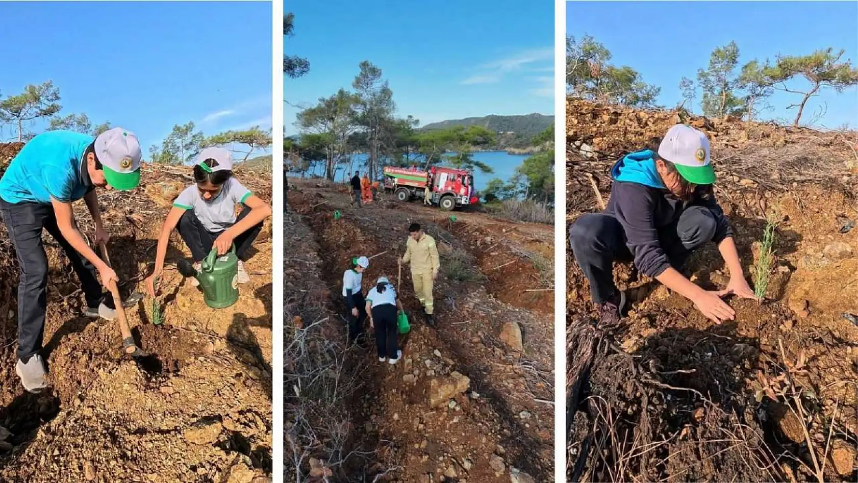 Fethiye Yanıklar'da toplu fidan dikimiyle doğa yeniden canlanıyor