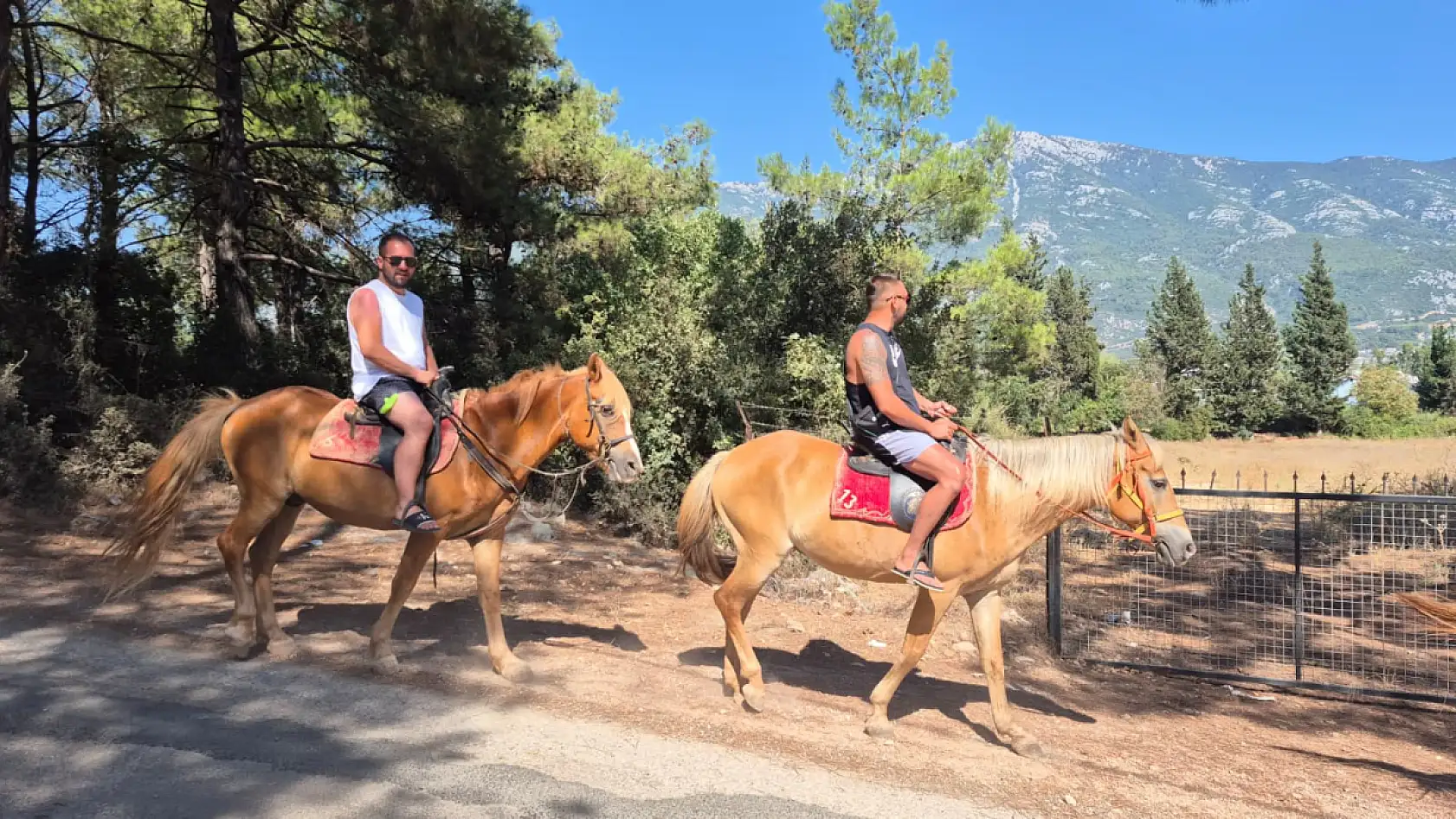 Fethiye'de atlarla doğa turu: 'Atların insan üzerinde çok büyük bir etkisi var'