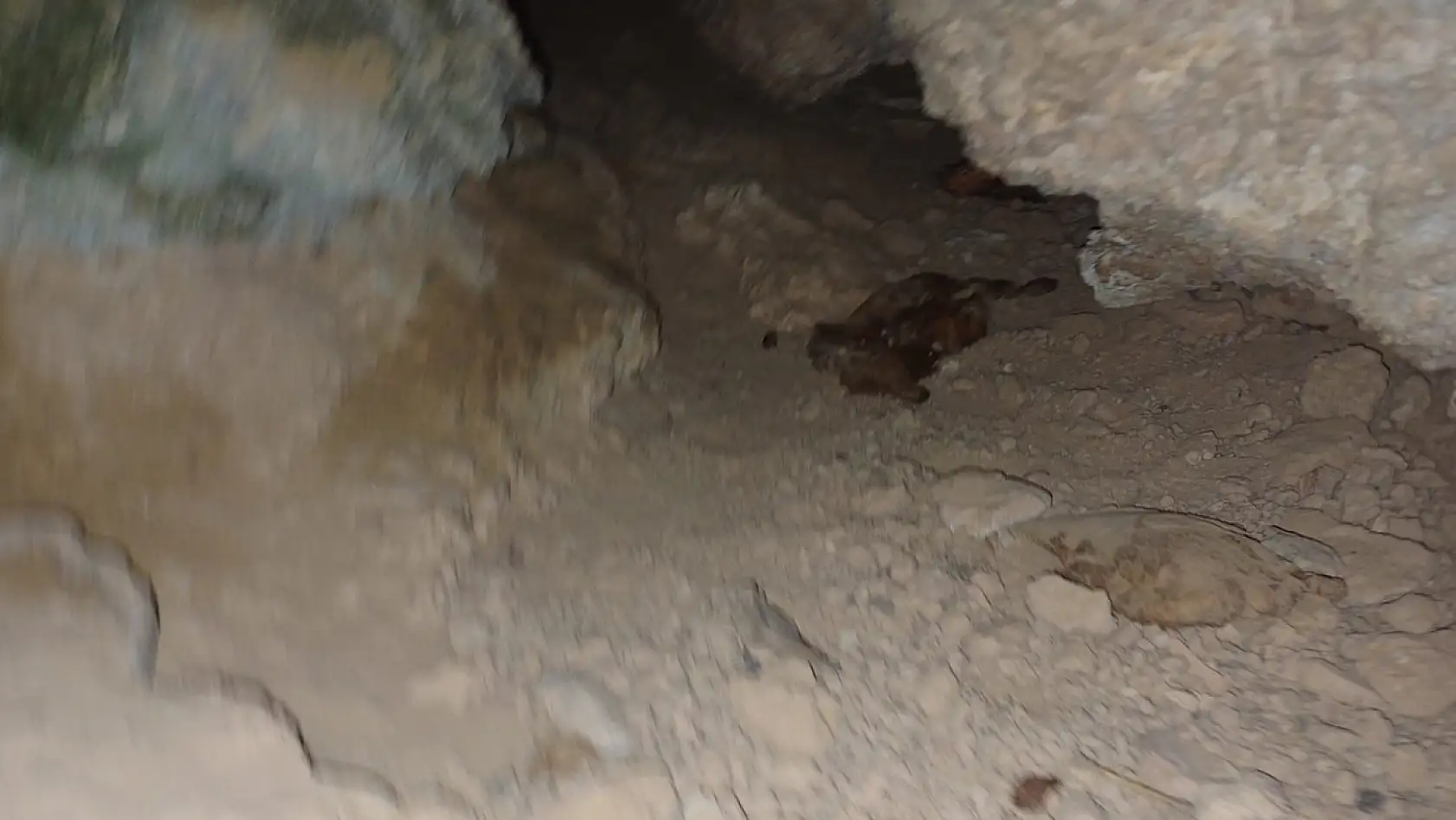 Kanyondaki oyuktan gelen köpek sesleri endişelendirdi