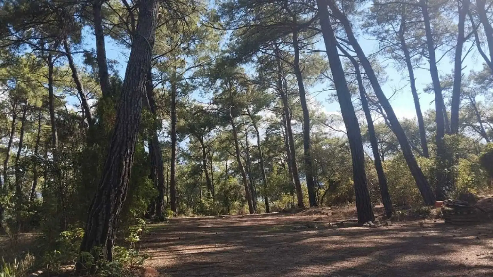 Akyaka Gökova Orman Parkı'nda temizlik ve elektrik yenileme çalışmaları başladı